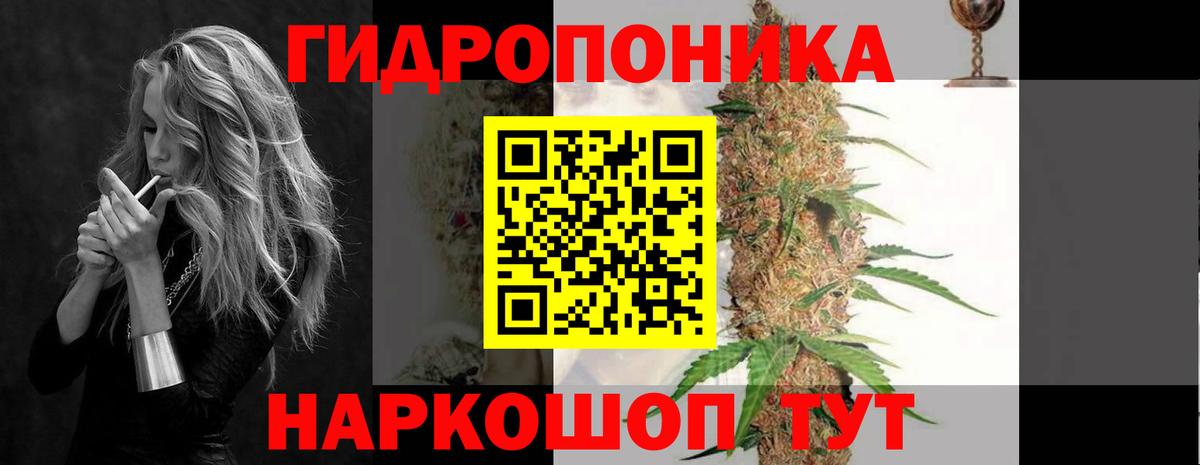 Канабис OG Kush Бугуруслан